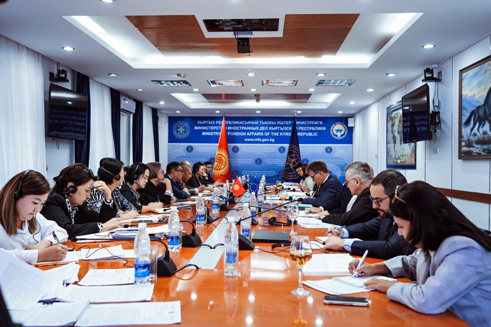 Дела Темирова, Рузиева, Аскарова. ЕС указал Кыргызстану на проблемы с правами и свободами