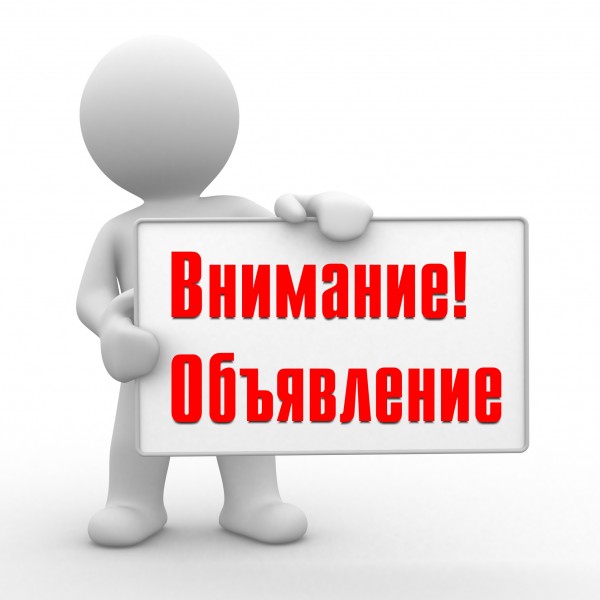 M-Vector: какой сервис для продажи и покупки вещей выбирают бишкекчане?