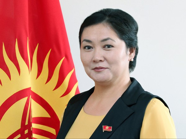 Депутат Мусабекова снова пропустила заседание СДПК по изучению ее угроз журналистке