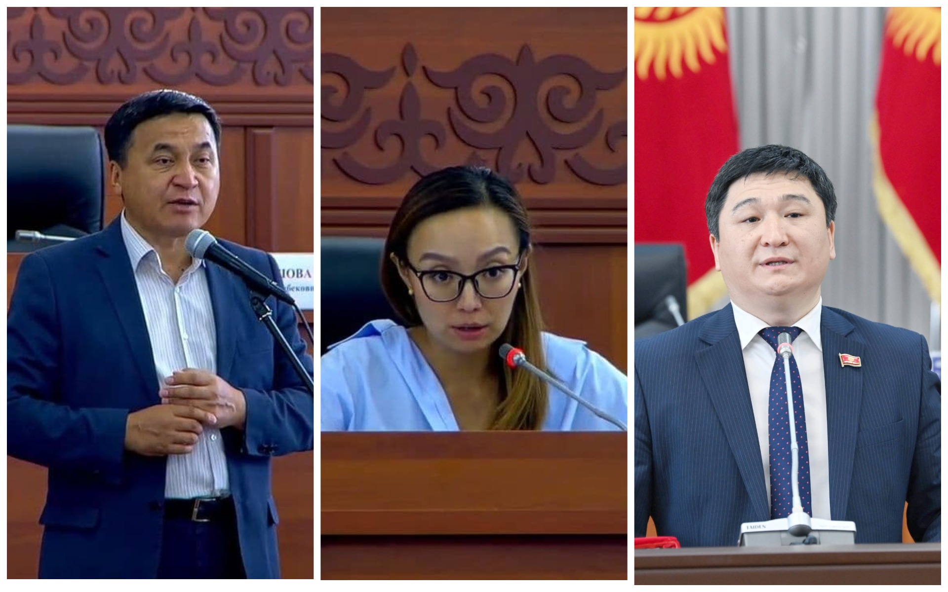 Несколько депутатов парламента заявили, что не голосовали за скандальный законопроект о защите от фейков