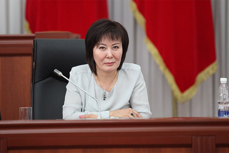 Поправки к закону Гульшат Асылбаевой готовы для передачи в профильный комитет