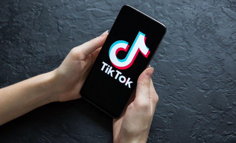 В парламенте вновь поднимают вопрос социальной сети TikTok