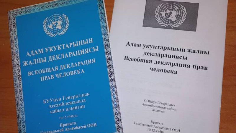 Декларация прав человека в Кыргызстане. Когда в отчетах все отлично, а на деле так себе