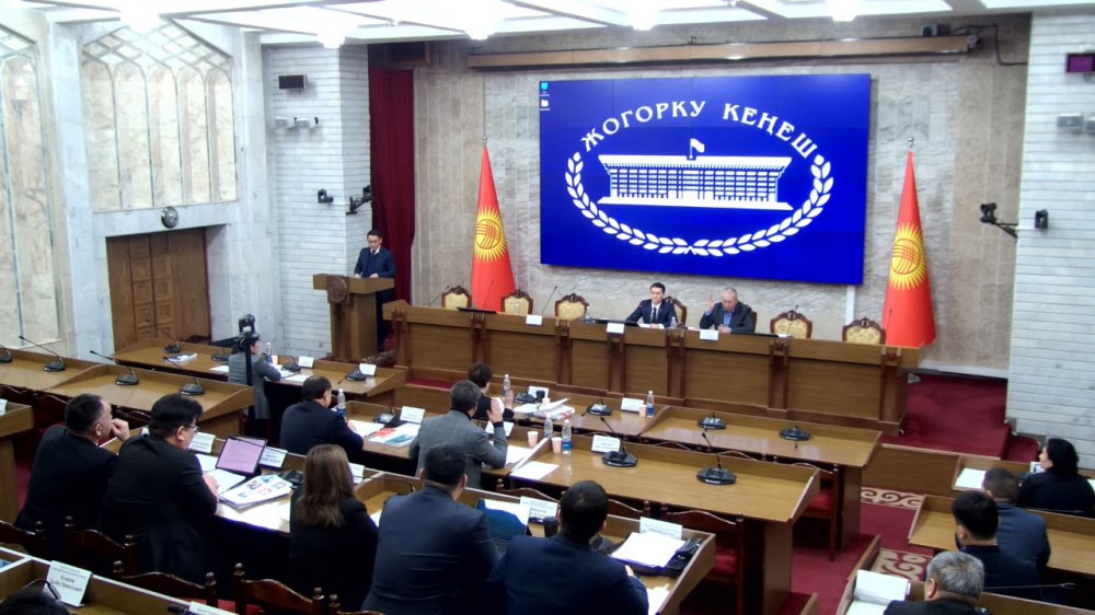 Законопроект о СМИ. Депутаты вышли из зала заседания в знак протеста (видео)
