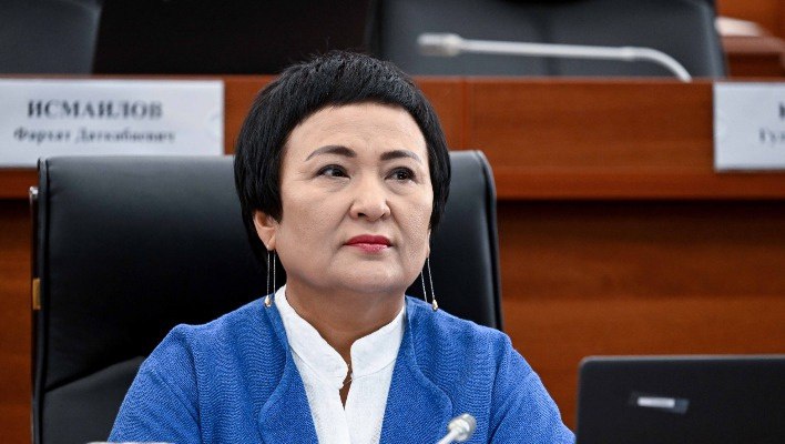 Депутаты ЖК отклонили закон об изменениях в отчетности НКО, инициированный главой кабмина