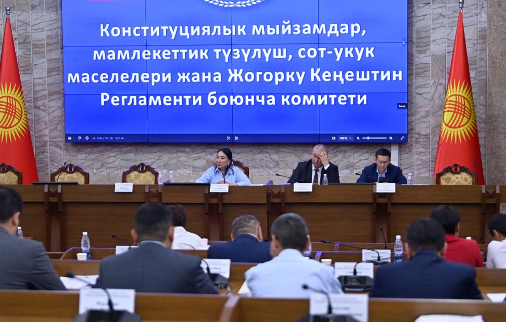Профильный комитет ЖК одобрил предложение о самороспуске парламента