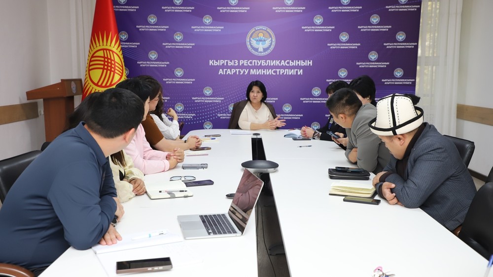 В Минпросвещения обсудили разработку лицензионных требований к частным онлайн-школам