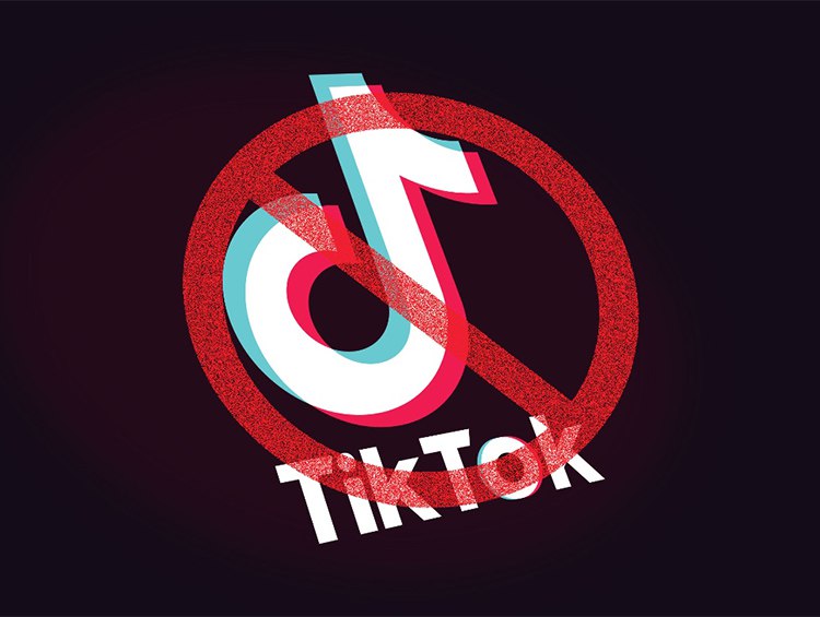 Платформа TikTok в КР заблокирована, но Минцифры хочет развивать партнерство