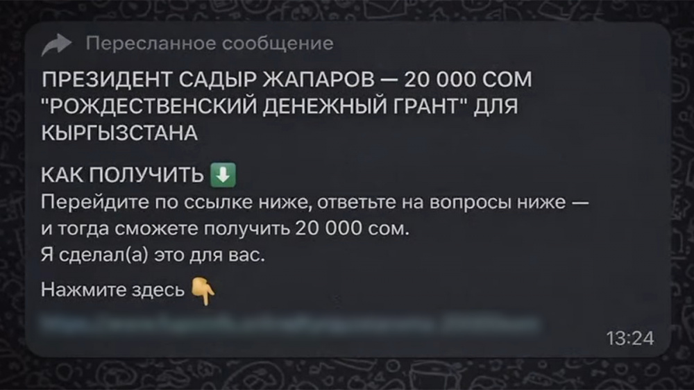 МВД предупредило о фейковых ссылках с «грантами» от имени президента