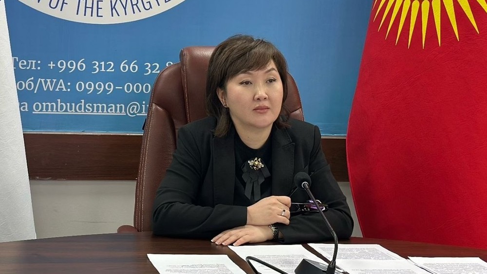 Профильный комитет ЖК принял к сведению ежегодный доклад омбудсмена о соблюдении прав и свобод в КР в 2025 году