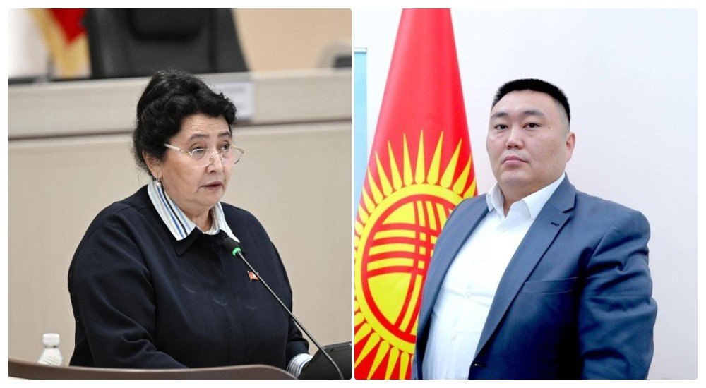 Юрист направил в Жогорку Кенеш заявление об отзыве мандата Айсаракан Абдибаевой